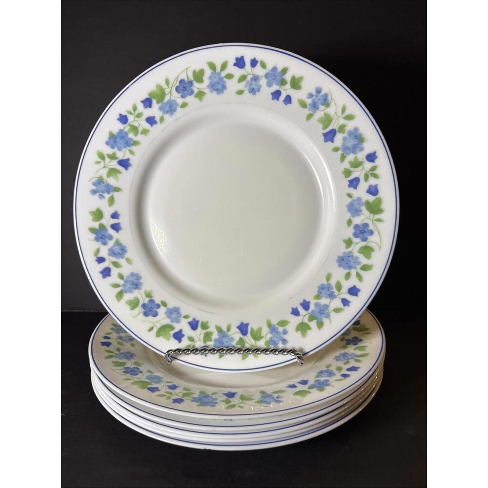 Arcopal France Floral Dinner Plates 9 3/4" Set Of 6 - One Tiny Chip Rare